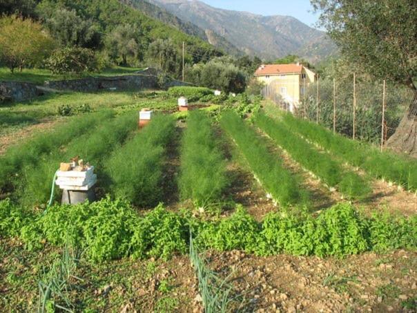 Agriturismo Argentea Villa Arenzano Dış mekan fotoğraf